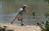 Boy Feeds the Ducks