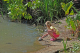 Girl Pets the Turtles