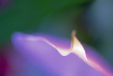Untitled-3.jpg