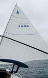 CATBIRD 260 2606 / 6 1995