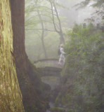 Bridge in the mist.