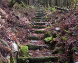 Going up and up.