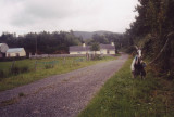 Gap of Dunloe...original meeting