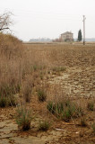DSC_0094.jpg