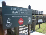 Cape May Hawk Watch-NJ