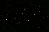 20100409-22-IC4665.jpg