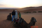 sahara at sunrise