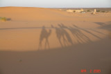 sahara at sunrise