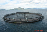 isle of mull_49 salmon farm.JPG