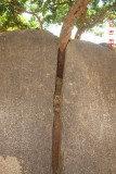 mahabalipuram22.jpg