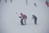 DSC_0223.JPG