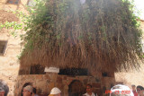 burning bush.JPG