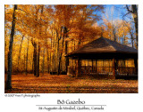 B Gazebo ...