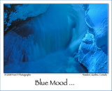 Feeling Blue ...
