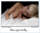 Blue Eyes Molly ...