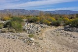 Coachella Valley Preserve