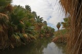 Thousand Palms Oasis