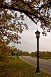 Gray Autumn Day on the Mill Pond Bridge  ~  October 12