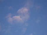 100_1350.jpg