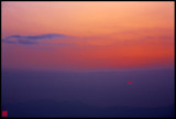 Darjeeling Dawn