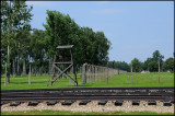 Birkenau