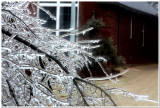 IMG_4352.Ice Storm.jpg
