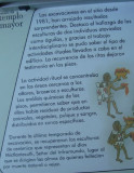 DSC04381.jpg