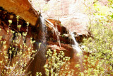 zion 2010_0515Image0146.jpg