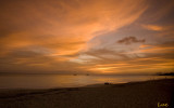 La grande anse salines (Martinique)