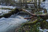 Une riviere en Alsace