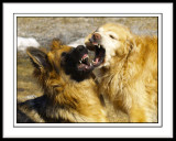 We Really Are The Best of Friends!!