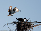 20100414_Nashua-NH_0019