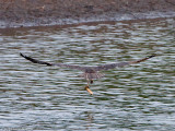 20100421_Nashua-NH_0065