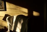 Fleeting Shadows 6