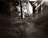 Side Yard<br><font size=1>4x5 Pinhole WPPD #1</font size=1>