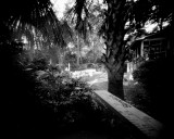 4x5 Pinhole WPPD #2<br><Font size=2>Landscape(ing)<br>Half-a-Yard