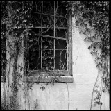 Ruin #1