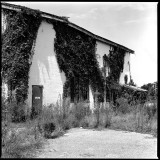 Ruin #5