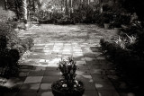 Shadow Story #3