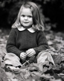 Max in Leaves 2