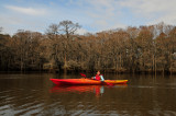 Caddo Lake SP 1-18-10 0151.JPG