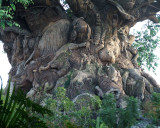 tree of life trunk 1260.jpg