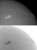 AR 1046 14 February 2010