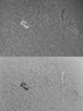 AR 1056 21 March 2010