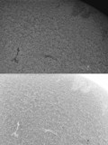 AR 1060 11 April 2010
