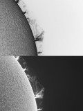 Prominence 18 May 2010