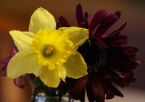 Flowers in a Jar