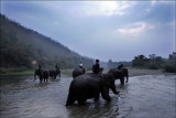 Laos-Pachyderms and People-a five week journey.