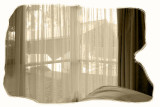 Window - 24