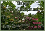 Christmas Greetings 2009